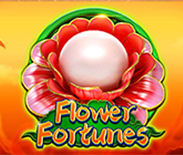 Flower Fortunes